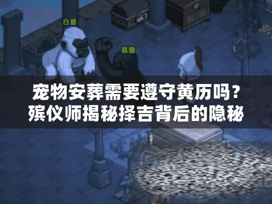 宠物安葬需要遵守黄历吗？殡仪师揭秘择吉背后的隐秘逻辑