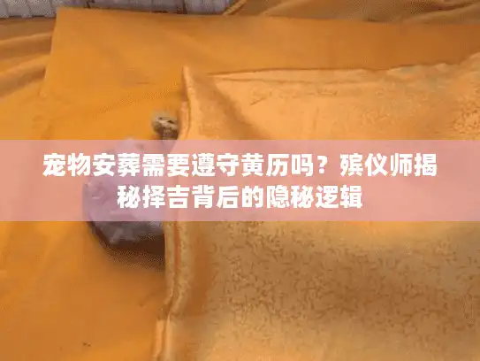 宠物安葬需要遵守黄历吗？殡仪师揭秘择吉背后的隐秘逻辑