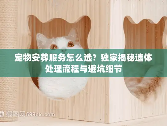 宠物安葬服务怎么选？独家揭秘遗体处理流程与避坑细节