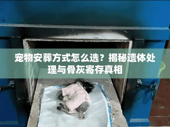 宠物安葬方式怎么选？揭秘遗体处理与骨灰寄存真相