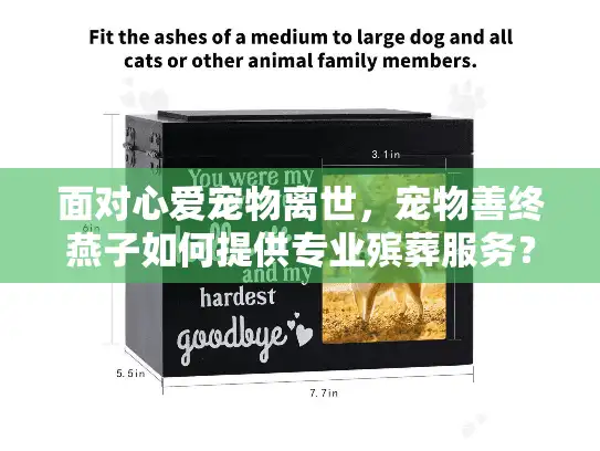 面对心爱宠物离世，宠物善终燕子如何提供专业殡葬服务？
