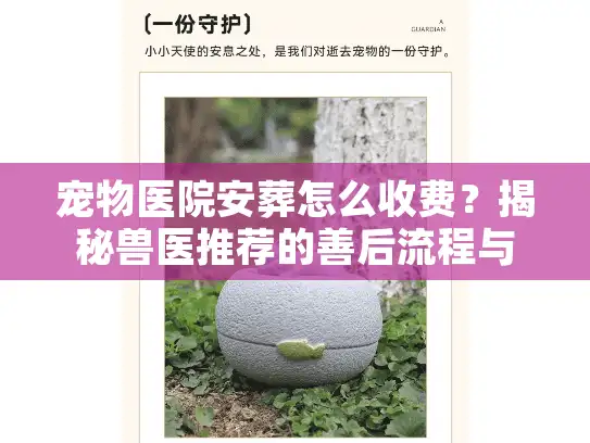 宠物医院安葬怎么收费？揭秘兽医推荐的善后流程与避坑