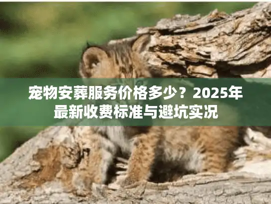 宠物安葬服务价格多少？2025年最新收费标准与避坑实况