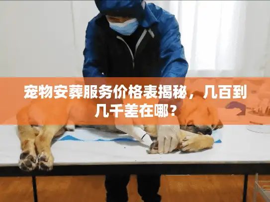 宠物安葬服务价格表揭秘，几百到几千差在哪？