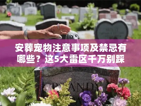 安葬宠物注意事项及禁忌有哪些？这5大雷区千万别踩