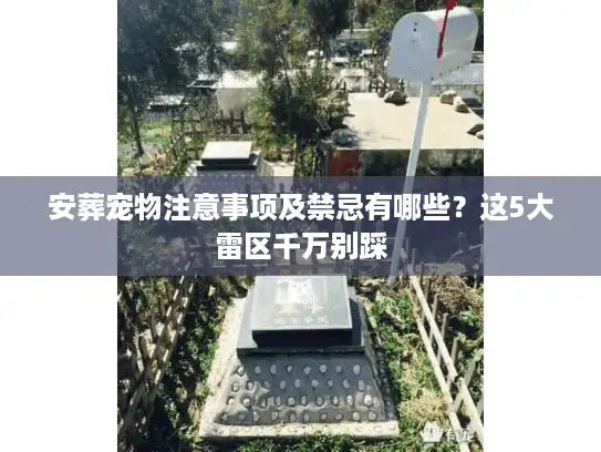 安葬宠物注意事项及禁忌有哪些？这5大雷区千万别踩