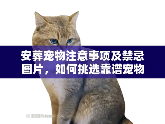 安葬宠物注意事项及禁忌图片，如何挑选靠谱宠物善终服务？