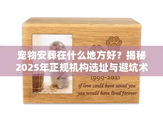 宠物安葬在什么地方好？揭秘2025年正规机构选址与避坑术