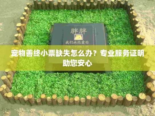宠物善终小票缺失怎么办？专业服务证明助您安心