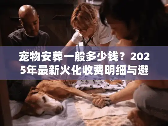宠物安葬一般多少钱？2025年最新火化收费明细与避坑实况