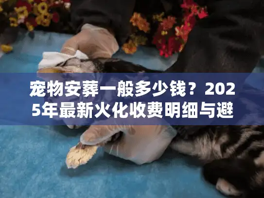 宠物安葬一般多少钱？2025年最新火化收费明细与避坑实况