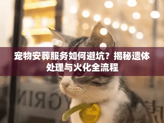 宠物安葬服务如何避坑？揭秘遗体处理与火化全流程