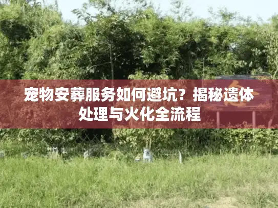 宠物安葬服务如何避坑？揭秘遗体处理与火化全流程
