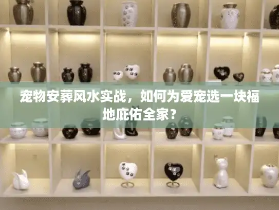 宠物安葬风水实战，如何为爱宠选一块福地庇佑全家？