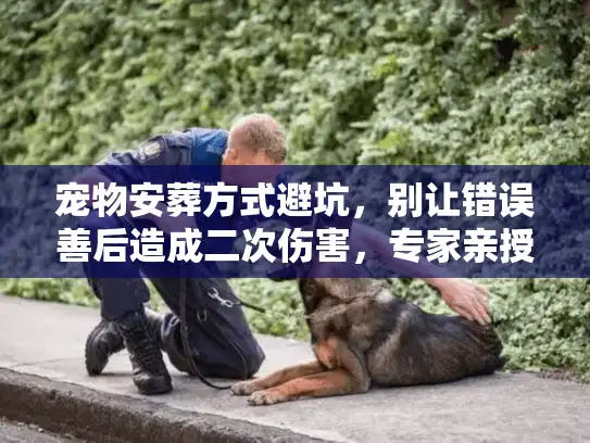 宠物安葬方式避坑，别让错误善后造成二次伤害，专家亲授
