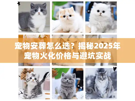宠物安葬怎么选？揭秘2025年宠物火化价格与避坑实战