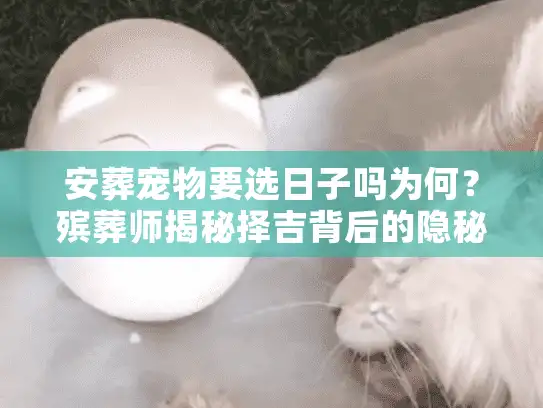 安葬宠物要选日子吗为何？殡葬师揭秘择吉背后的隐秘门道