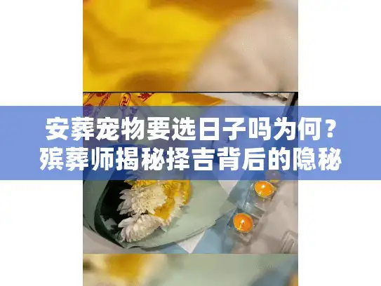 安葬宠物要选日子吗为何？殡葬师揭秘择吉背后的隐秘门道