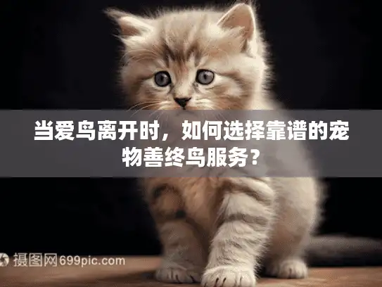 当爱鸟离开时，如何选择靠谱的宠物善终鸟服务？