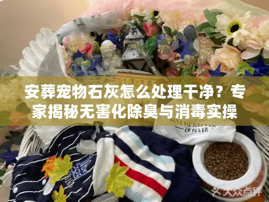 安葬宠物石灰怎么处理干净？专家揭秘无害化除臭与消毒实操