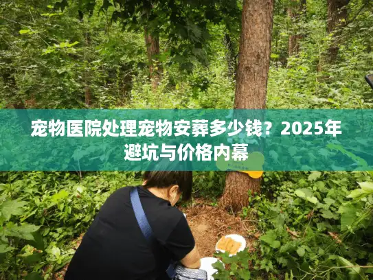 宠物医院处理宠物安葬多少钱？2025年避坑与价格内幕