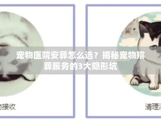 宠物医院安葬怎么选？揭秘宠物殡葬服务的3大隐形坑
