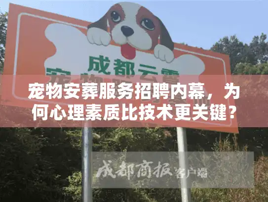 宠物安葬服务招聘内幕，为何心理素质比技术更关键？