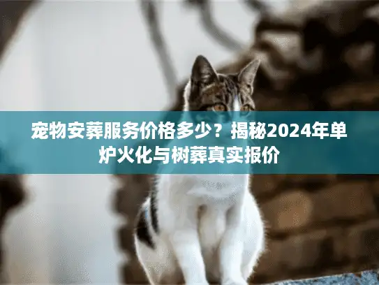 宠物安葬服务价格多少？揭秘2024年单炉火化与树葬真实报价