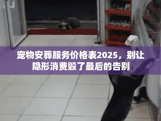 宠物安葬服务价格表2025，别让隐形消费毁了最后的告别