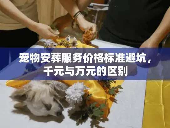 宠物安葬服务价格标准避坑，千元与万元的区别