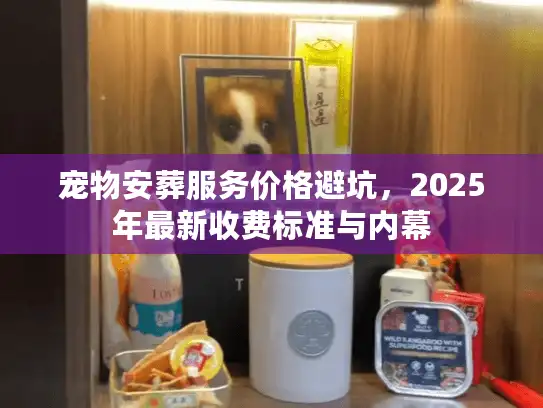 宠物安葬服务价格避坑，2025年最新收费标准与内幕