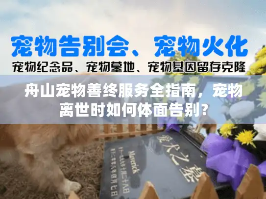 舟山宠物善终服务全指南，宠物离世时如何体面告别？