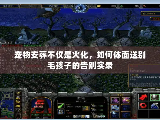 宠物安葬不仅是火化，如何体面送别毛孩子的告别实录