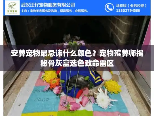 安葬宠物最忌讳什么颜色？宠物殡葬师揭秘骨灰盒选色致命雷区