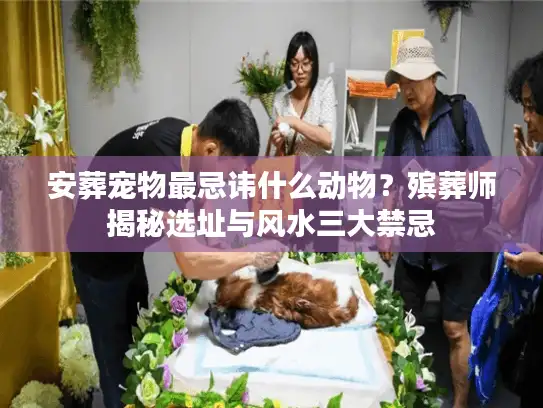 安葬宠物最忌讳什么动物？殡葬师揭秘选址与风水三大禁忌