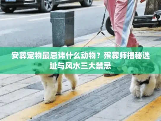 安葬宠物最忌讳什么动物？殡葬师揭秘选址与风水三大禁忌