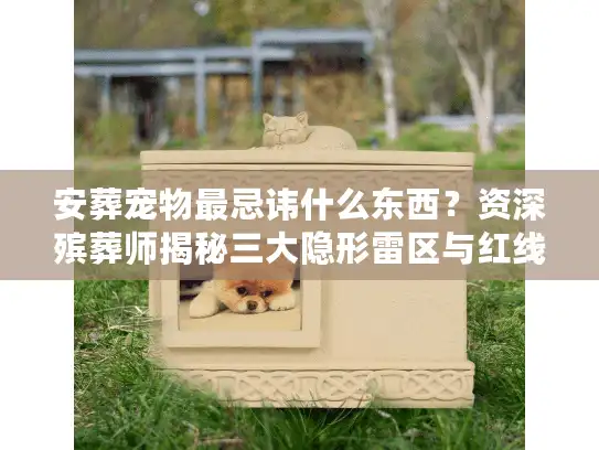 安葬宠物最忌讳什么东西？资深殡葬师揭秘三大隐形雷区与红线