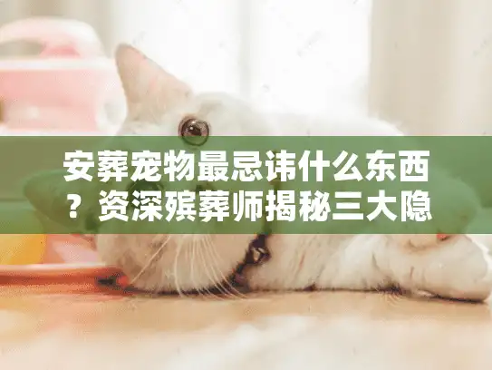安葬宠物最忌讳什么东西？资深殡葬师揭秘三大隐形雷区与红线