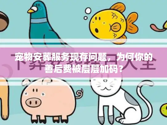 宠物安葬服务现存问题，为何你的善后费被层层加码？