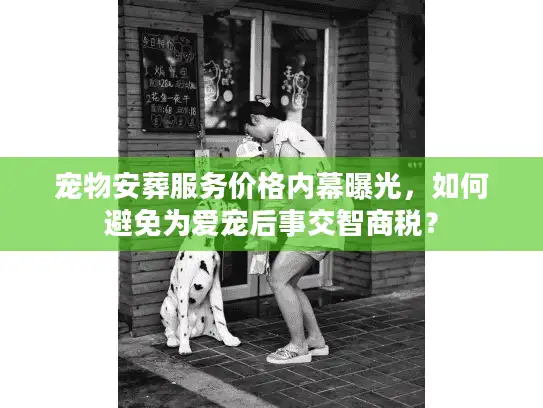 宠物安葬服务价格内幕曝光，如何避免为爱宠后事交智商税？
