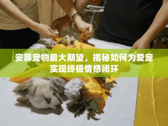 安葬宠物最大期望，揭秘如何为爱宠实现终极情感闭环