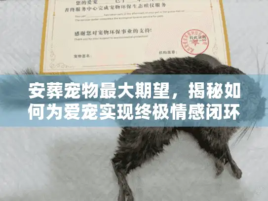 安葬宠物最大期望，揭秘如何为爱宠实现终极情感闭环