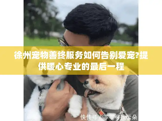 徐州宠物善终服务如何告别爱宠?提供暖心专业的最后一程