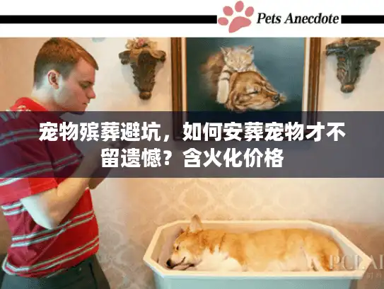 宠物殡葬避坑，如何安葬宠物才不留遗憾？含火化价格