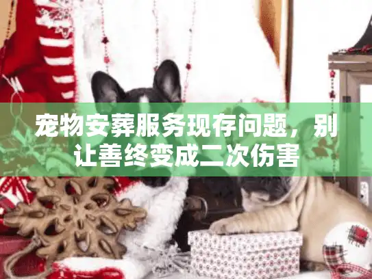 宠物安葬服务现存问题，别让善终变成二次伤害