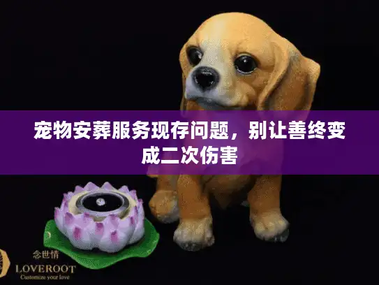 宠物安葬服务现存问题，别让善终变成二次伤害