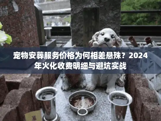 宠物安葬服务价格为何相差悬殊？2024年火化收费明细与避坑实战