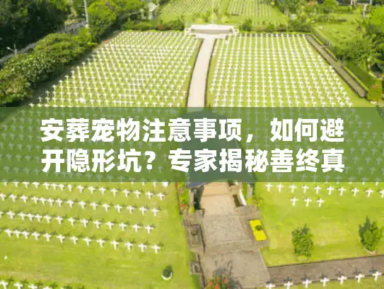 安葬宠物注意事项，如何避开隐形坑？专家揭秘善终真相
