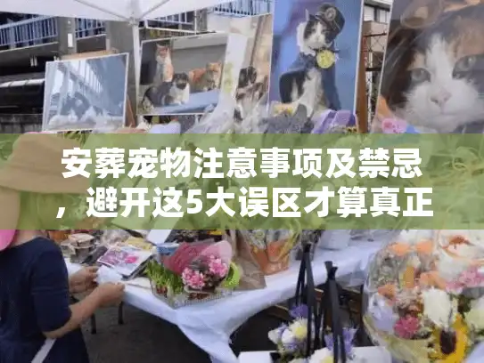 安葬宠物注意事项及禁忌，避开这5大误区才算真正告别