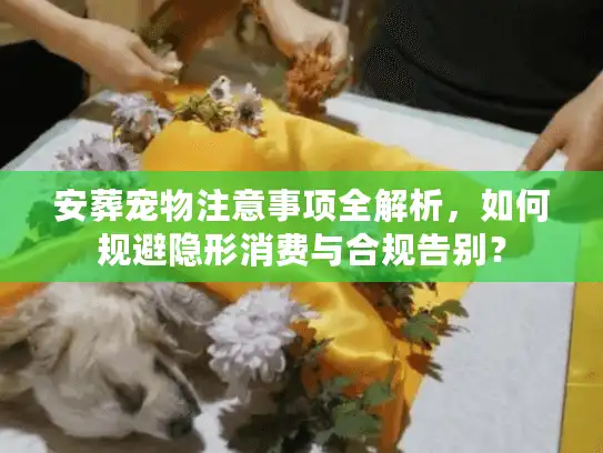 安葬宠物注意事项全解析，如何规避隐形消费与合规告别？